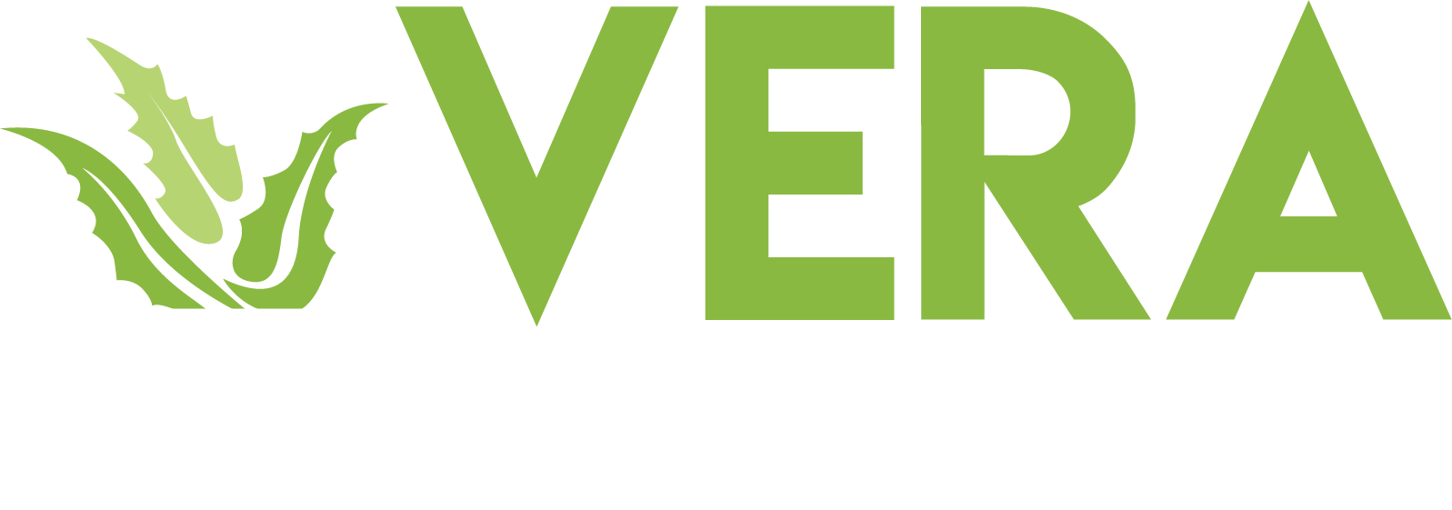Vera Home Loans